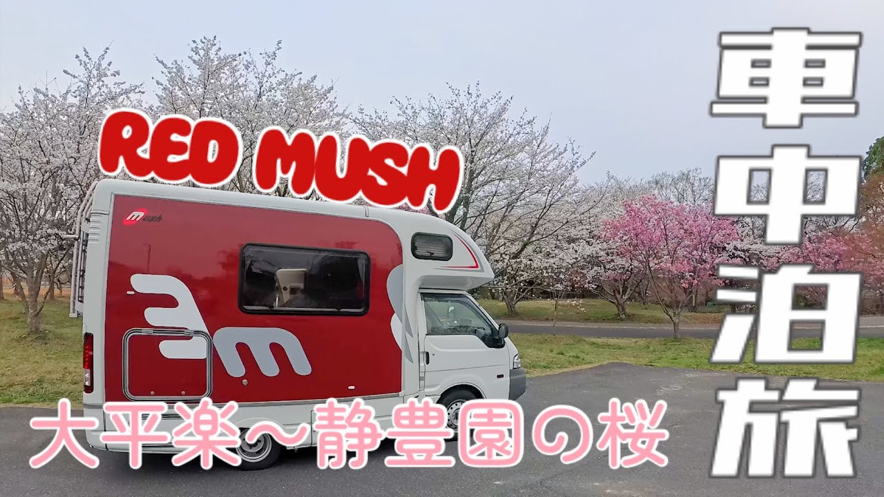 【車中泊旅】大平楽〜静豊園へ🌸リベンジへ♪