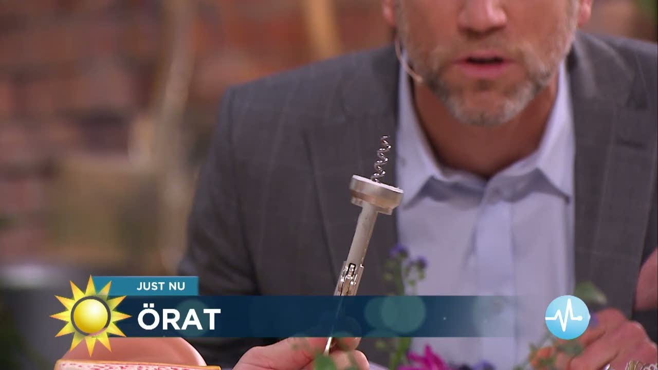 Farliga saker folk kliar med i sina öron - Nyhetsmorgon (TV4)