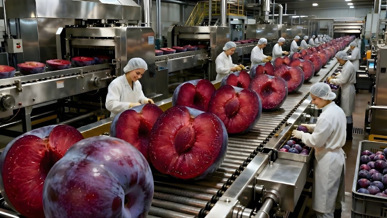 Inside the Modern Plum Factory: How Dried Salted Plums Are Made | Food Factory World