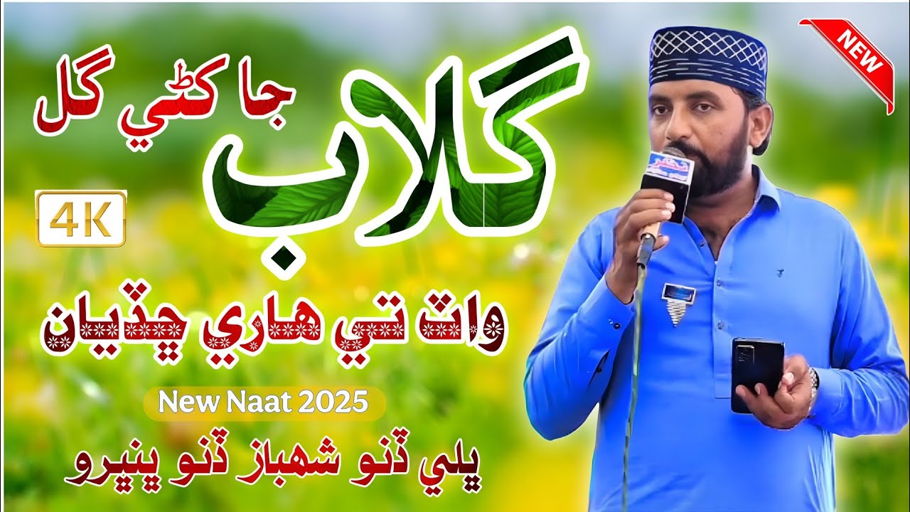 Gulab Ja khani Maan Gul What Te Haari Chadya // #newnaat 