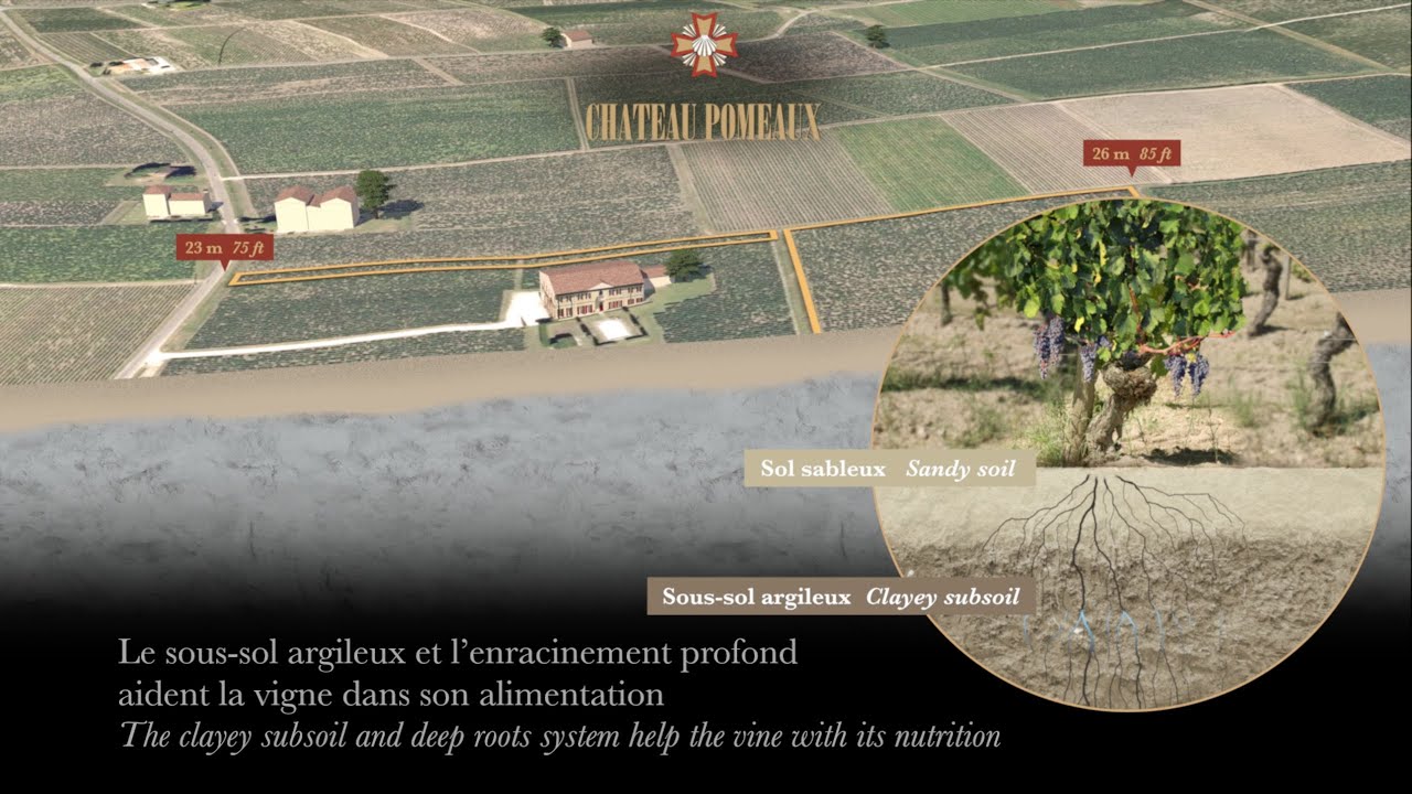 Chateau Pomeaux, Pomerol