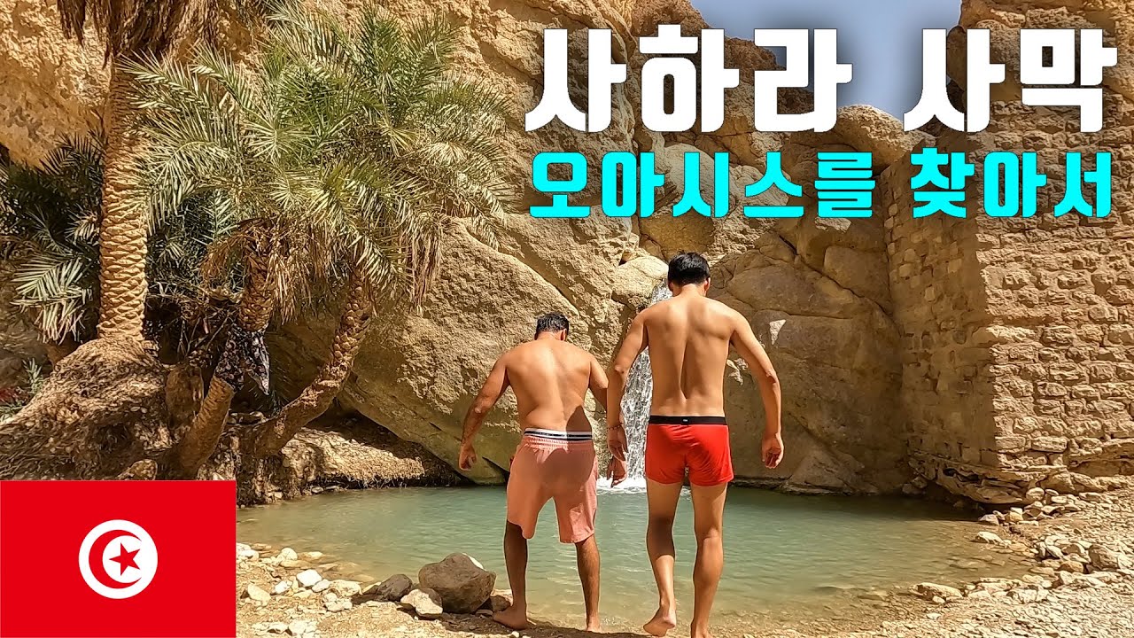 사하라 사막에서 오아시스 찾기 [튀니지 최종회]