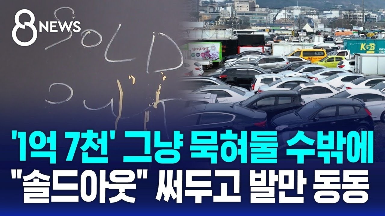 창고에 쌓인 1억어치…'솔드아웃' 써두고 발 동동 / SBS 8뉴스