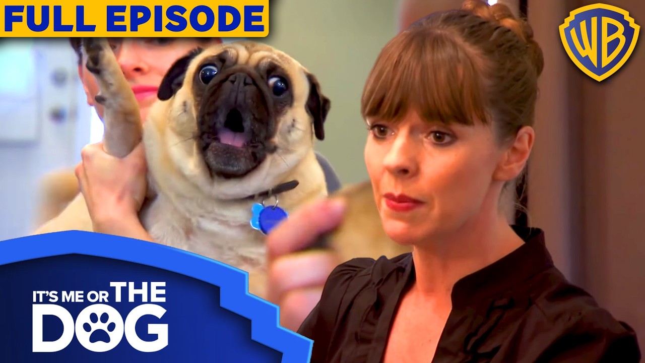 The Fickle Five | Season 1 Episode 4 | Full Episode | It's Me Or The Dog US