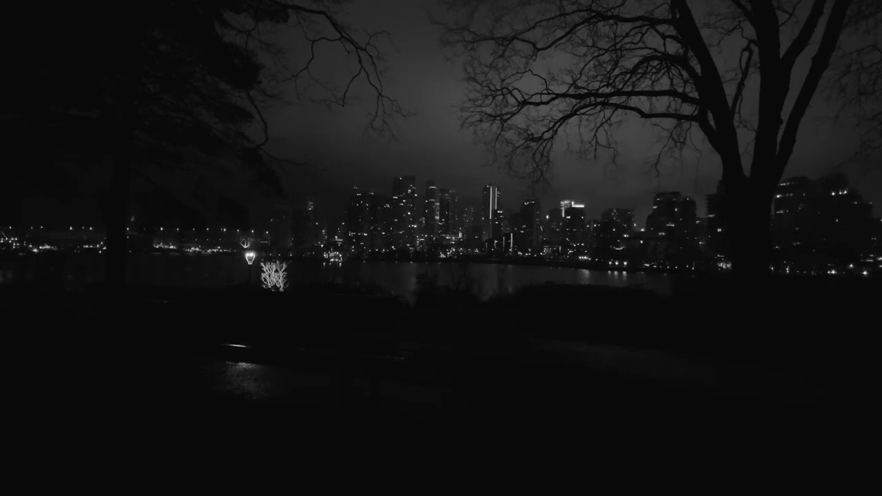 Calming Rain Sounds for Sleep & Deep relaxation | Waterfront City Skyline (Black & White)
