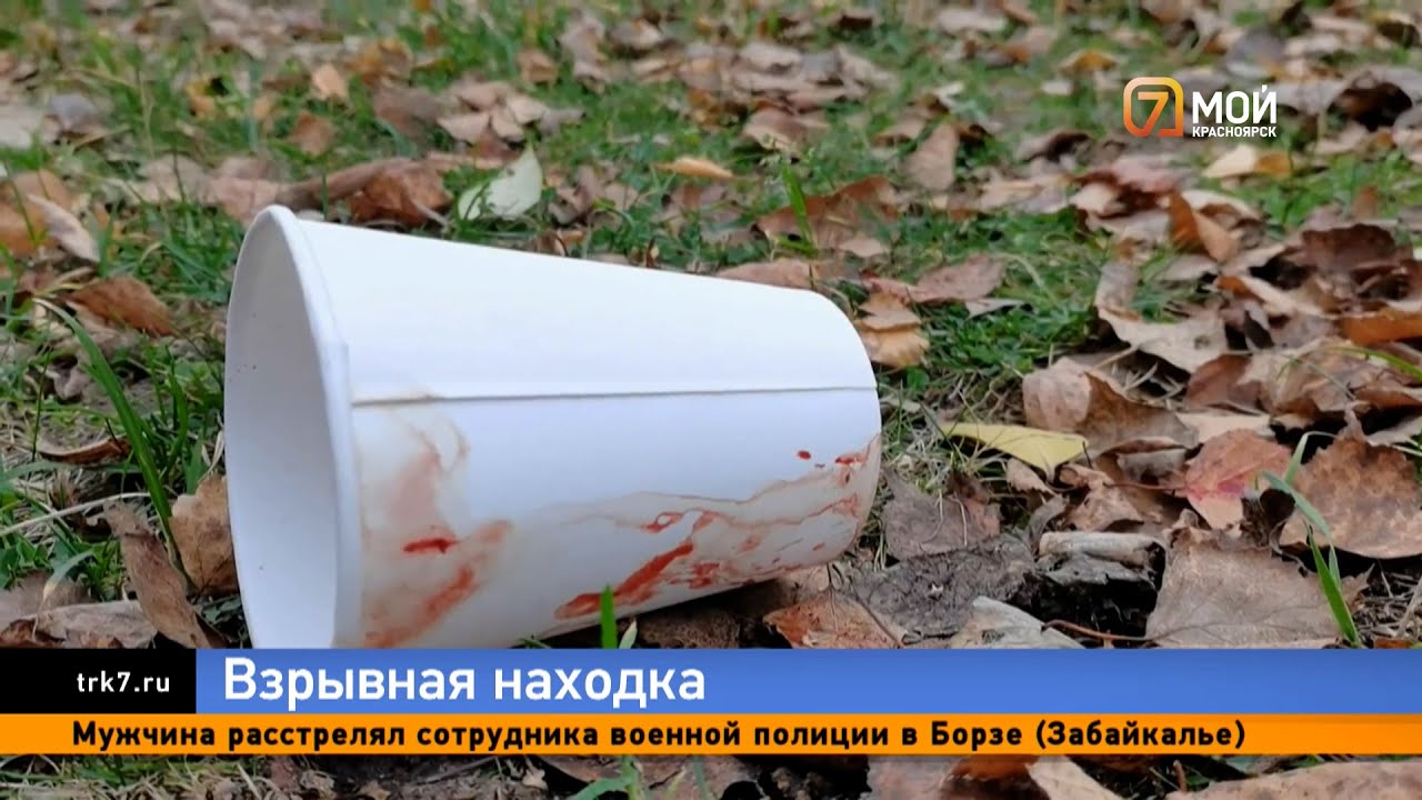 Мальчику из Красногорска оторвало пальцы самодельной бомбой