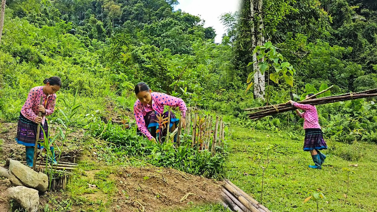 The Boy Who Walked Away Regretted It | An 18-Year-Old Girl’s Mountain Life Story