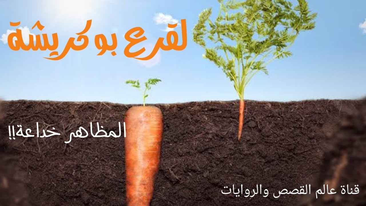 حكاية لقرع بوكريشة من التراث الجزائري باللهجة الجزائرية نص من عند حبيبتي rahik و نص من عندي ⁦❤️⁩😍