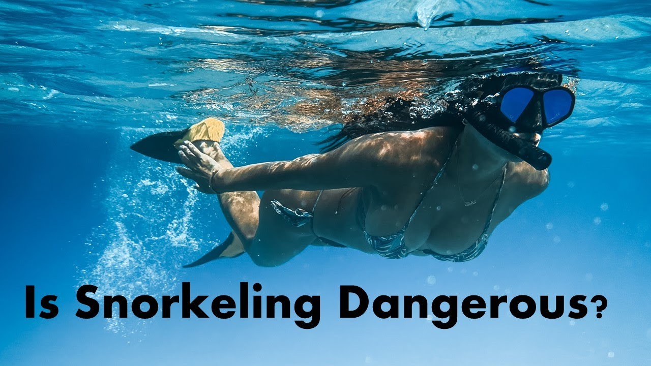 How safe or dangerous is snorkeling in Cape Town South Africa