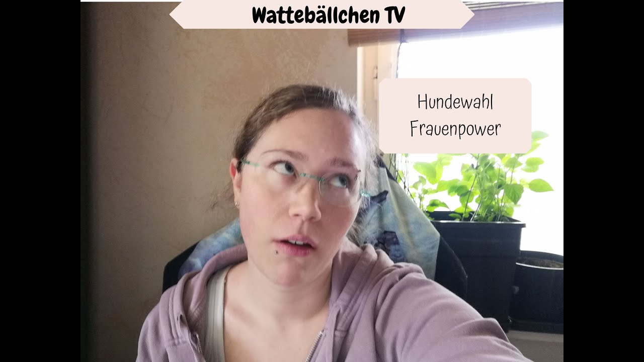 Hundewahl - Einfl&uuml;sse von Au&szlig;en