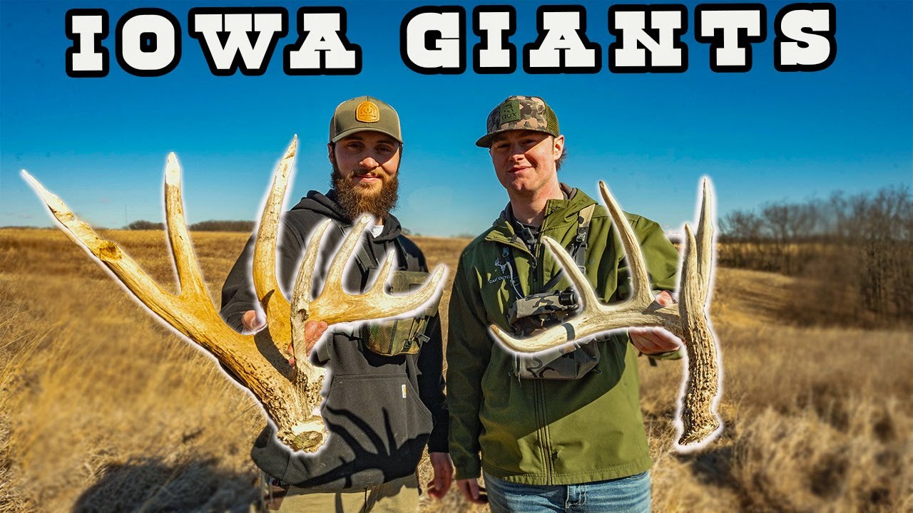 FINDING MY BIGGEST SHED EVER 90''+ | IOWA 2025