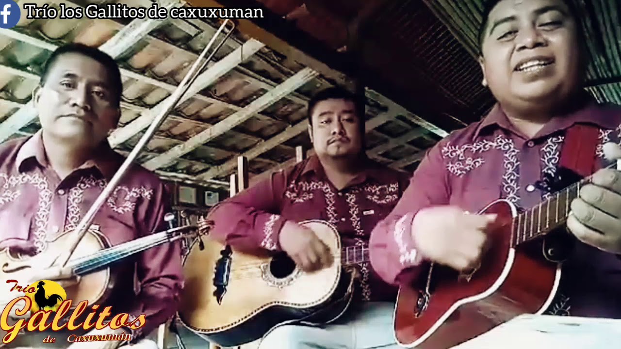 Trío los Gallitos de caxuxuman - el cielito lindo (totonaco)