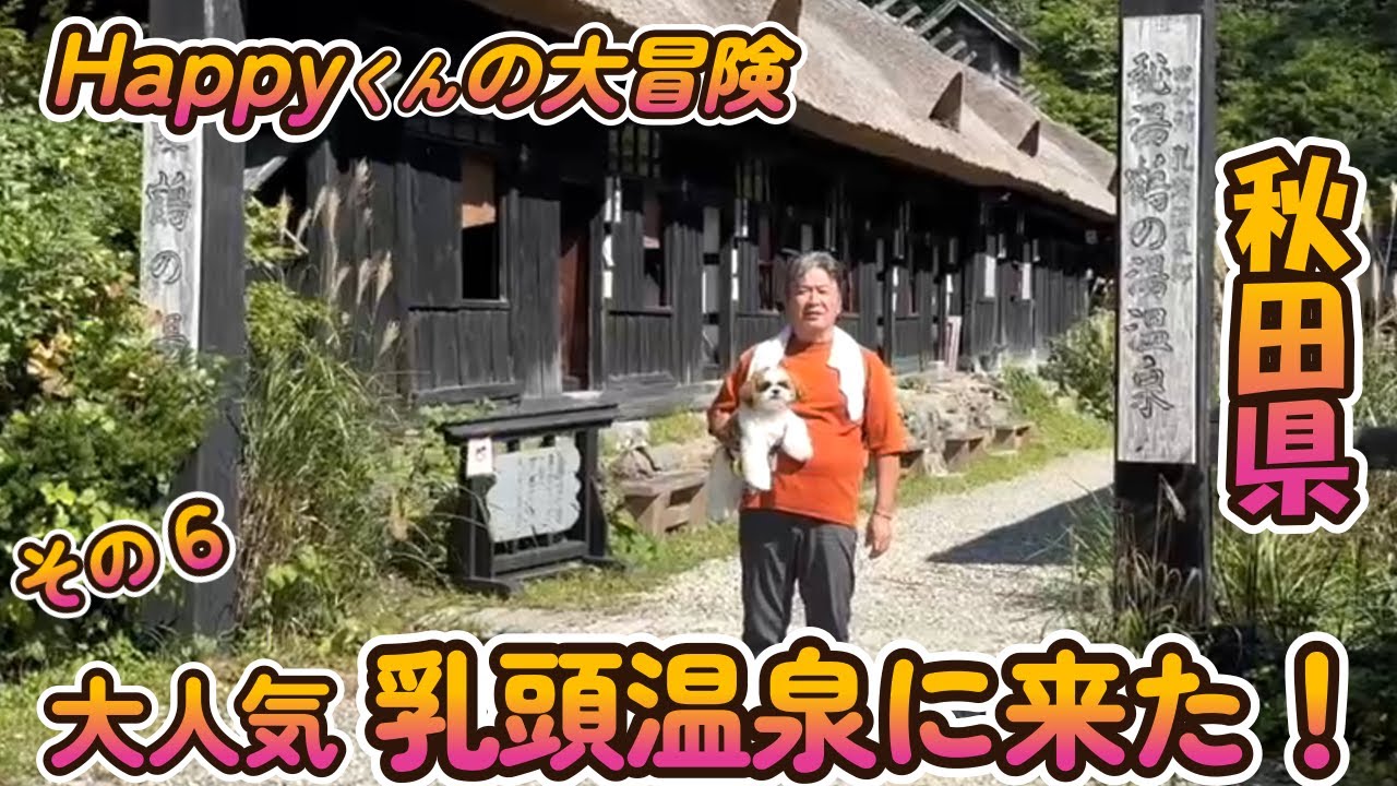 [シーズー🐶・くるま旅🚗] Happyくん 乳頭温泉に来た！