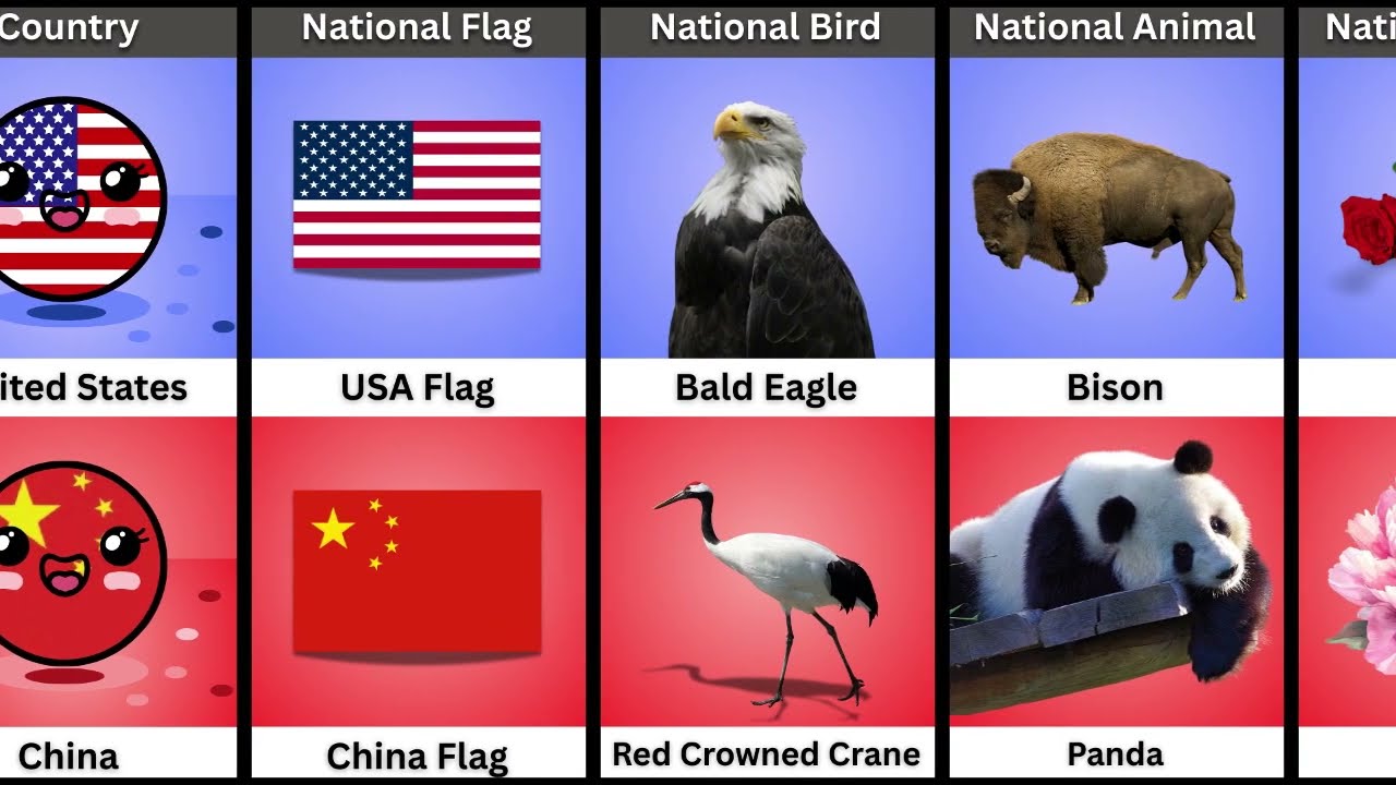 USA vs China - Country Comparison