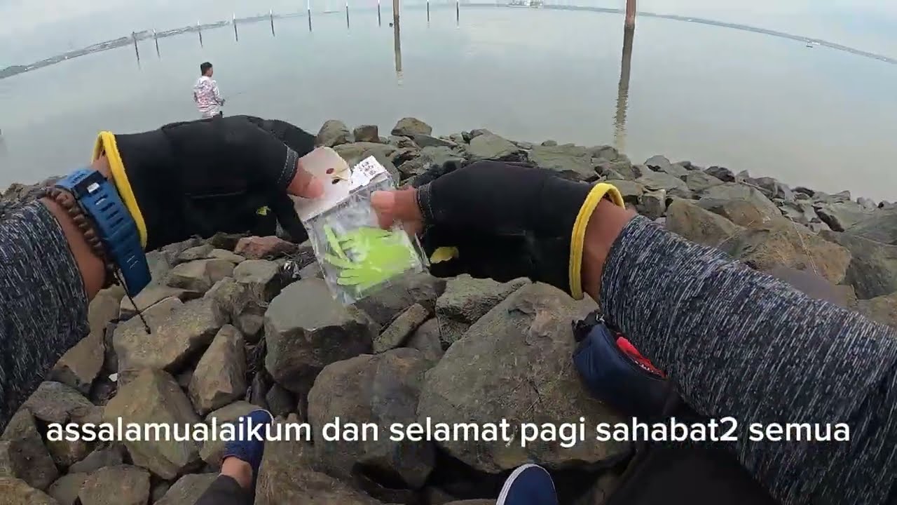 TANJUNG HARAPAN teknik Carolina rig pemikat ikan talang