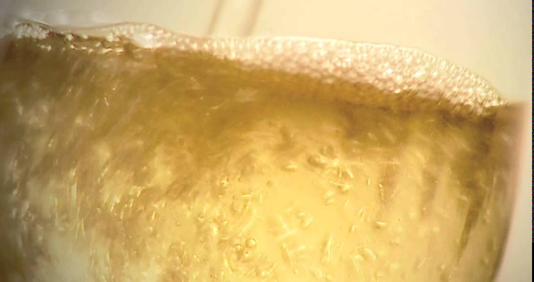 TV Spot Badischer Wein - EM 2008