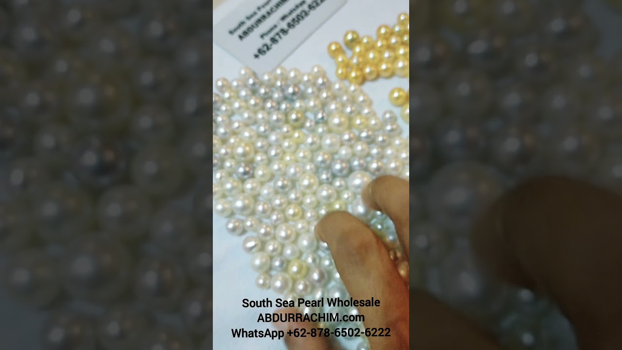 South Sea Pearl Wholesale 👉 WhatsApp +62 878 6502 6222 pearl farm 47