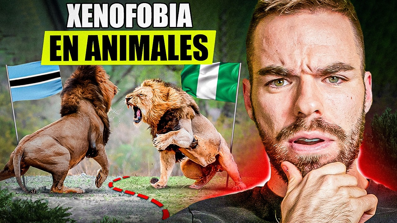 🔴INMIGRACIÓN en la naturaleza ¿Hay XENOFOBIA en el reino animal?🔴
