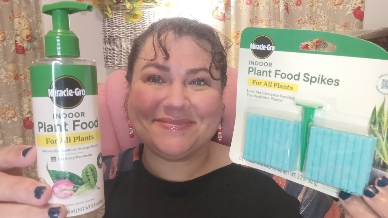 Огромная покупка в Dollar Tree! Потратила 90 долларов! Вот это да!