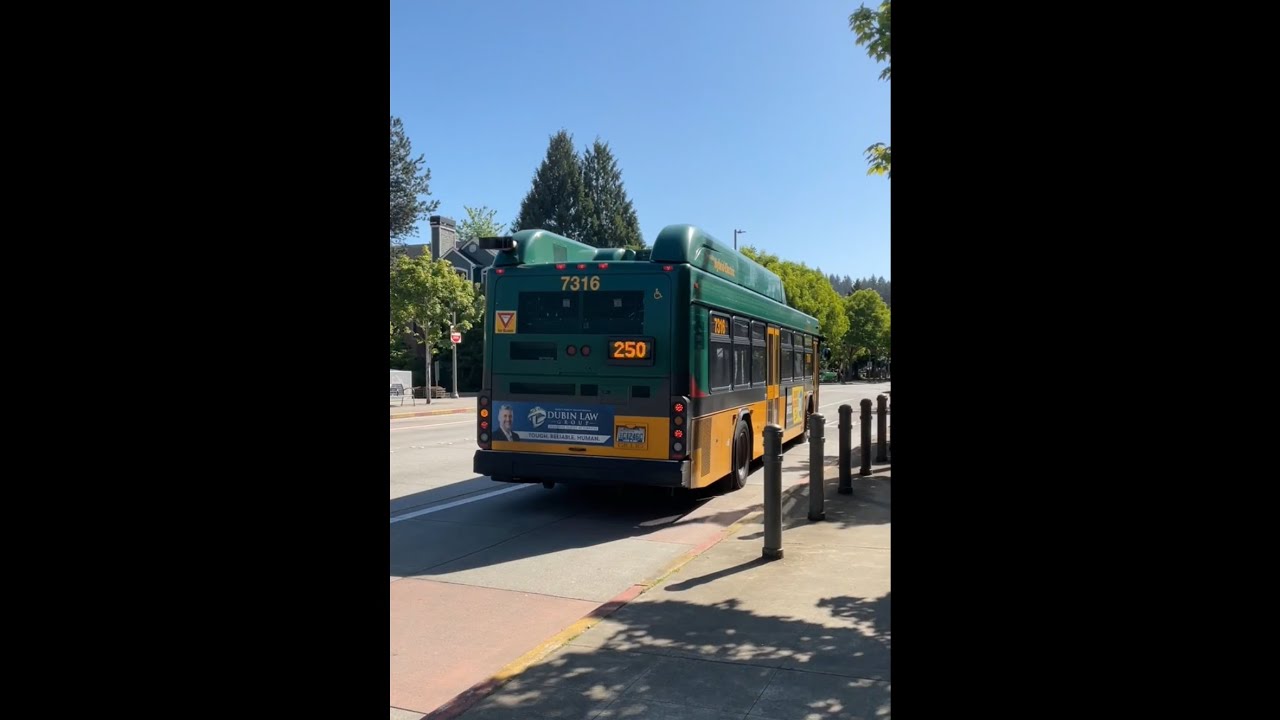 King County Metro Route 250 to Avondale