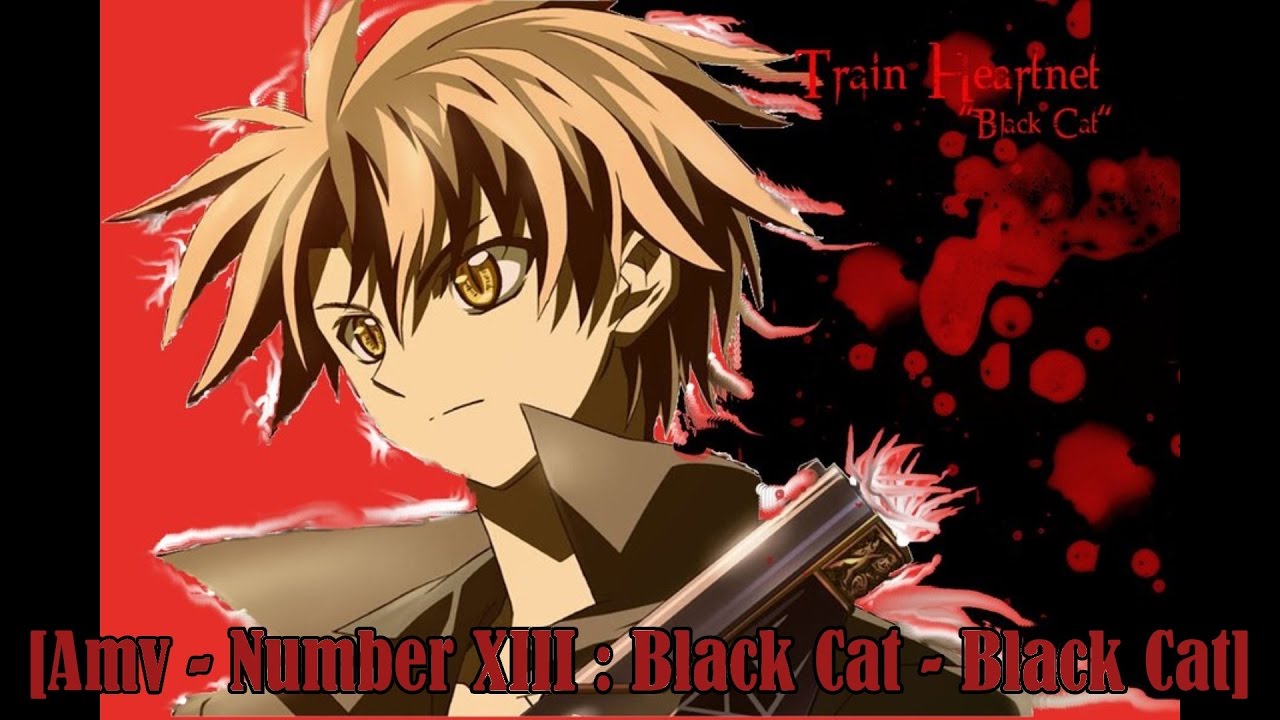 [Amv] Number XIII : Black Cat ~ Black Cat