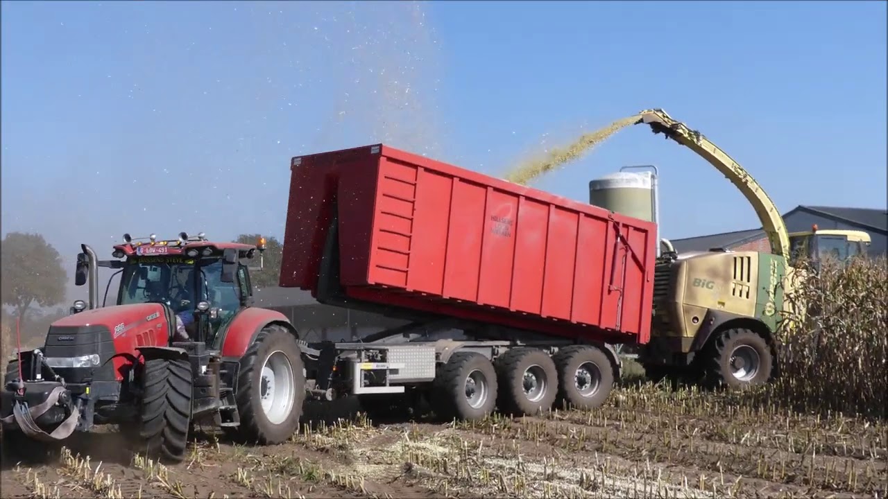 Hillsens mais hakselen 2020 (1) , Krone Big X 770