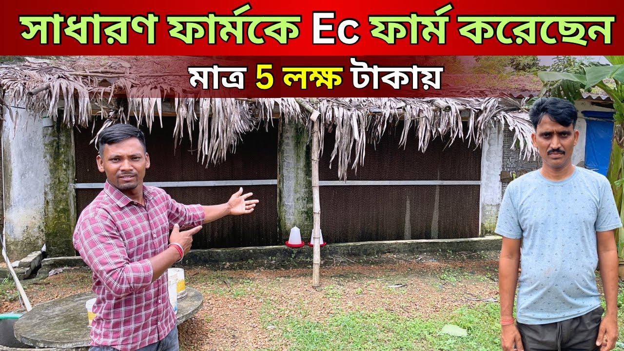 কিভাবে কম খরচে EC ফার্ম তৈরি করবেন | Low Cost Ec Poultry Farm