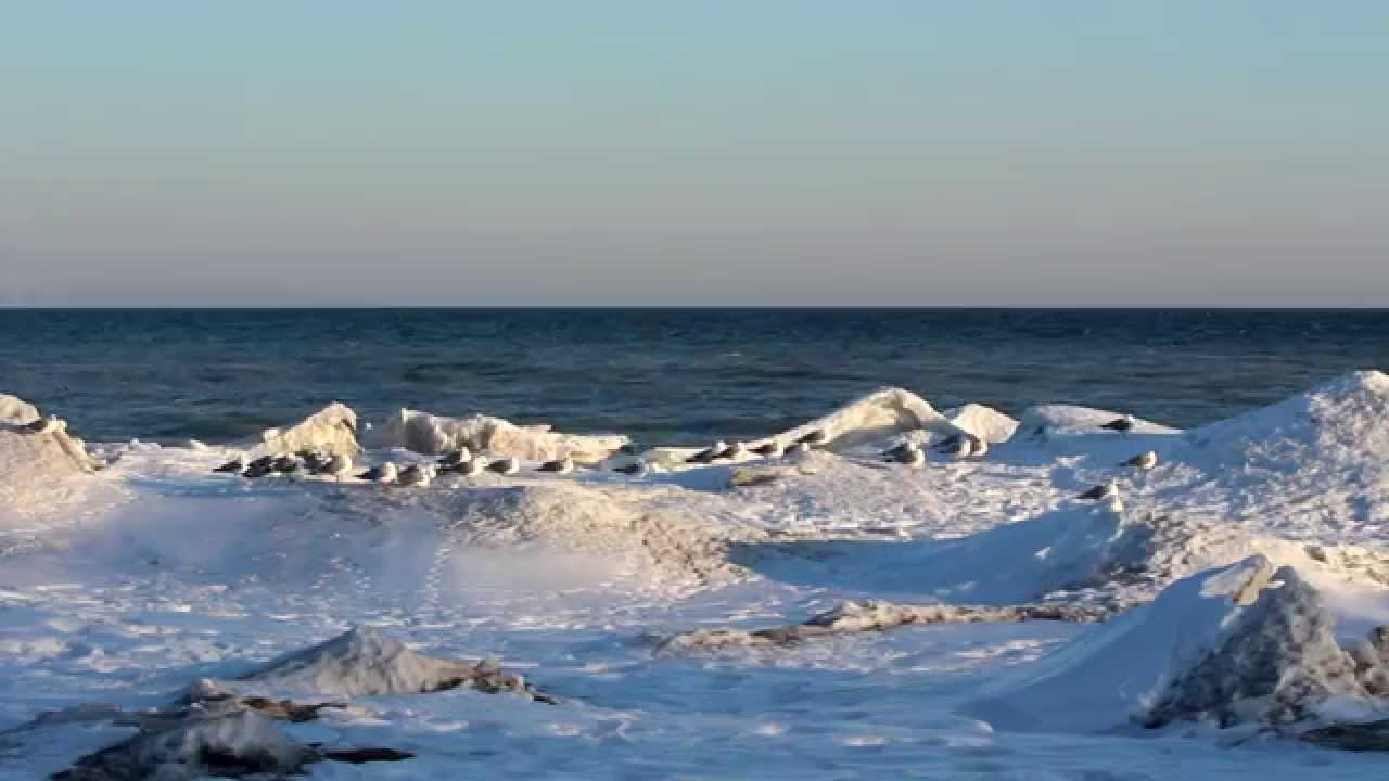 Winter at Bond Head - 2015 (Ice Mound and Bird Scenes, Newcastle, ON)