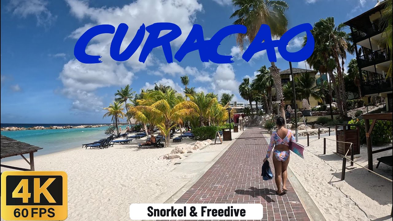 CURACAO - Snorkeling & Freediving at Mambo Beach Blvd