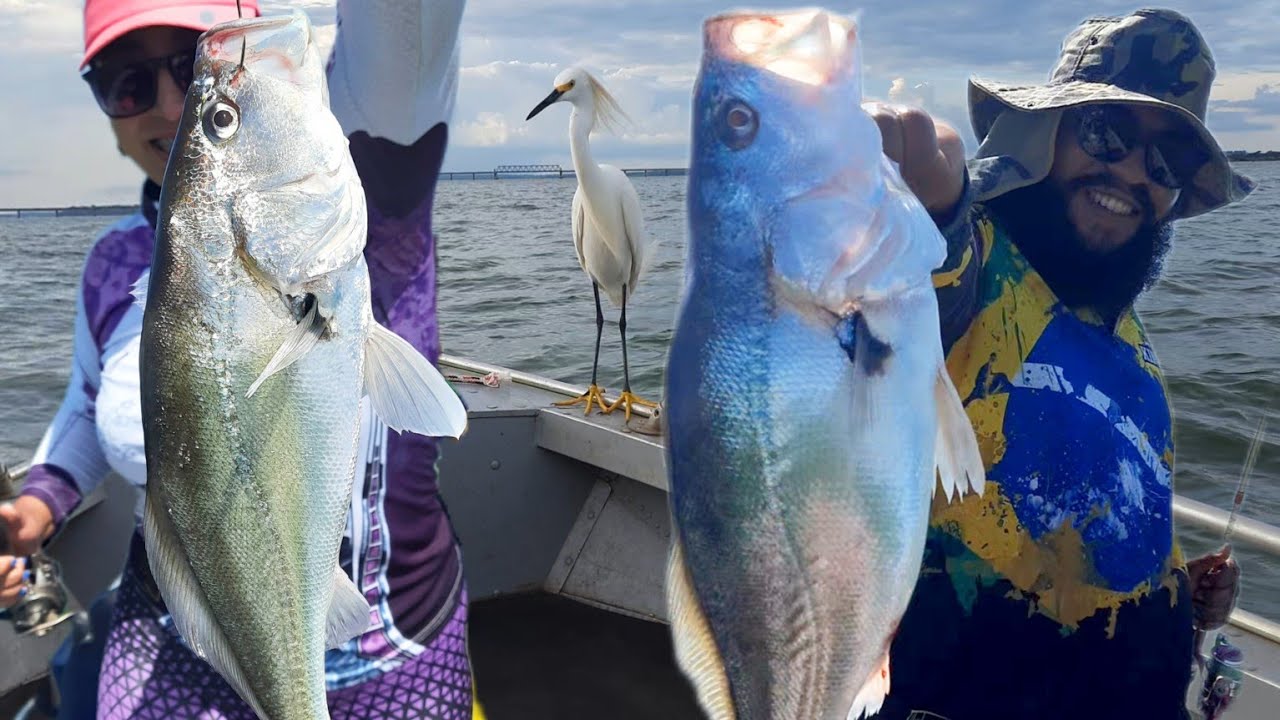 Corvinão no Rio Tietê, conhecemos um lugar paradisíaco, foi difícil mas saiu Corvinão