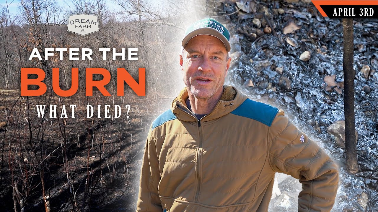 How Effective was the Timber Burn?  What Plants Died? | Dream Farm w/ Bill Winke
