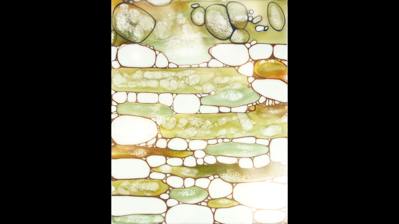 Synesthetic Wave Form - "Shellac Song IX" an animated encaustic painting by Melanie Moralez