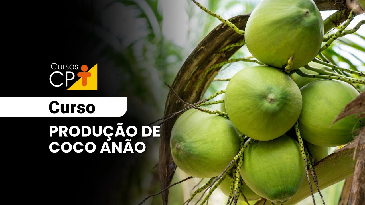 Produ&ccedil;&atilde;o de Coco An&atilde;o l Cursos online CPT