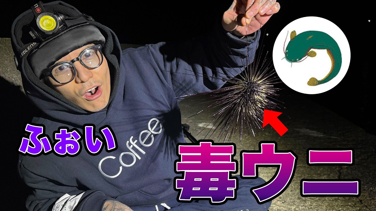 【海鮮】無料で毒ウニ定食を作る【パラダイス】