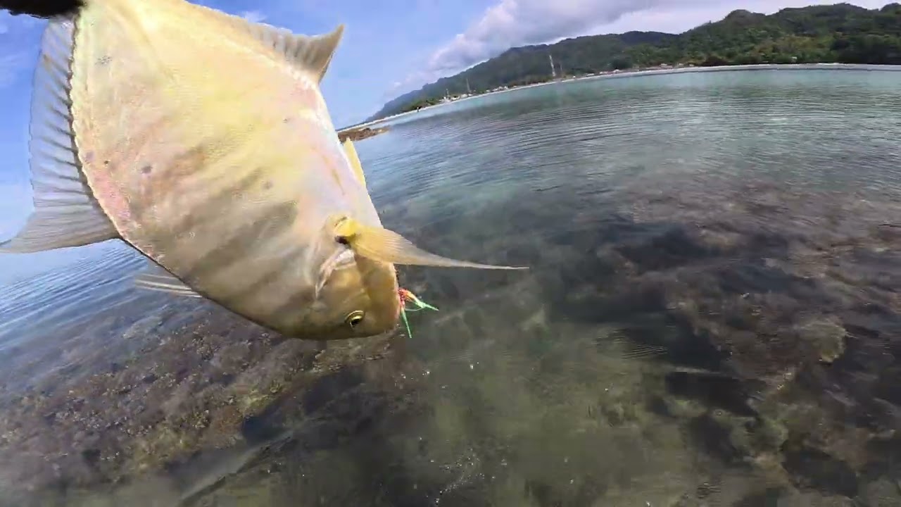 BARU LEMPARAN PERTAMA LANGSUNG DI KAGETIN SAMA IKAN INI‼️