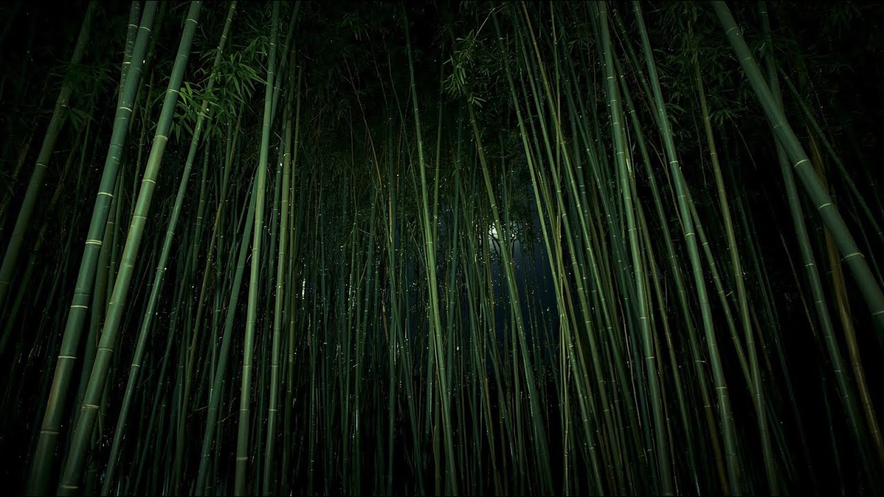 MU — Night Shakuhachi | Moonlit Reflection 月明かりの瞑想 (Instrumental)