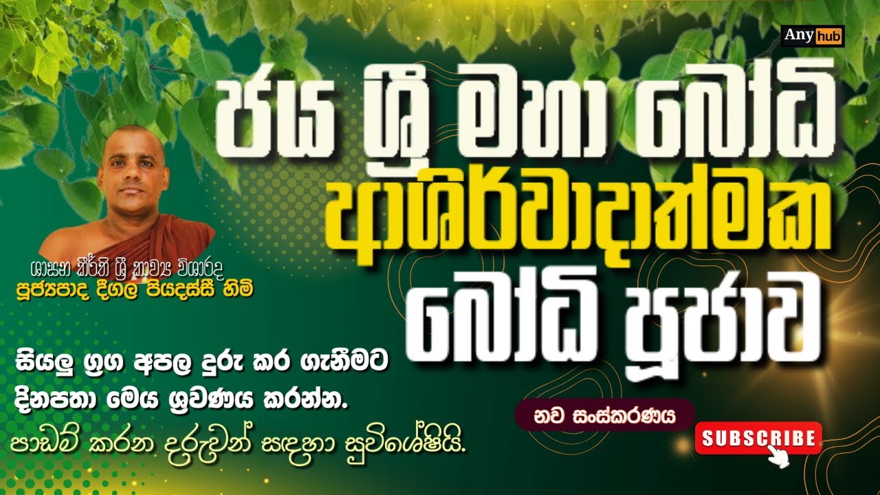 දීගල පියදස්සි හිමි බෝධි පූජාව|Deegala Piyadassi Himi Bodhi Puja |Any hub Tv