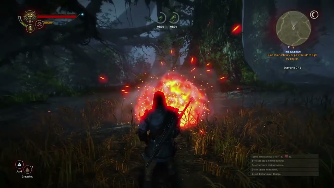 witcher 2 part 21