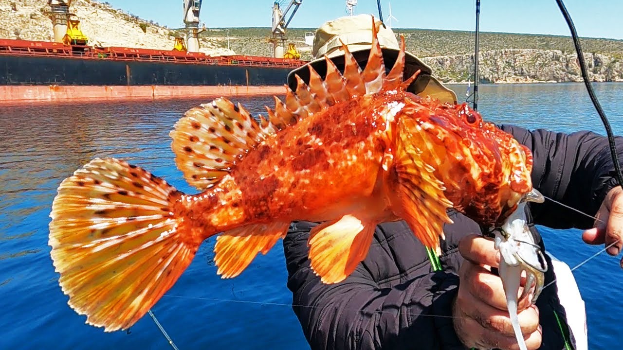 ΟΤΑΝ ΤΟ ΨΑΡΕΜΑ ΠΑΕΙ ΣΤΡΑΒΑ 🏴‍☠️ ΤΑ ΨΑΡΙΑ ΠΟΥ ΧΑΘΗΚΑΝ , Η ΜΕΓΑΛΗ ΖΗΜΙΑ ΚΑΙ Η ΠΛΑΚΑ ΠΟΥ ΔΕΝ ΠΕΤΥΧΕ!!!