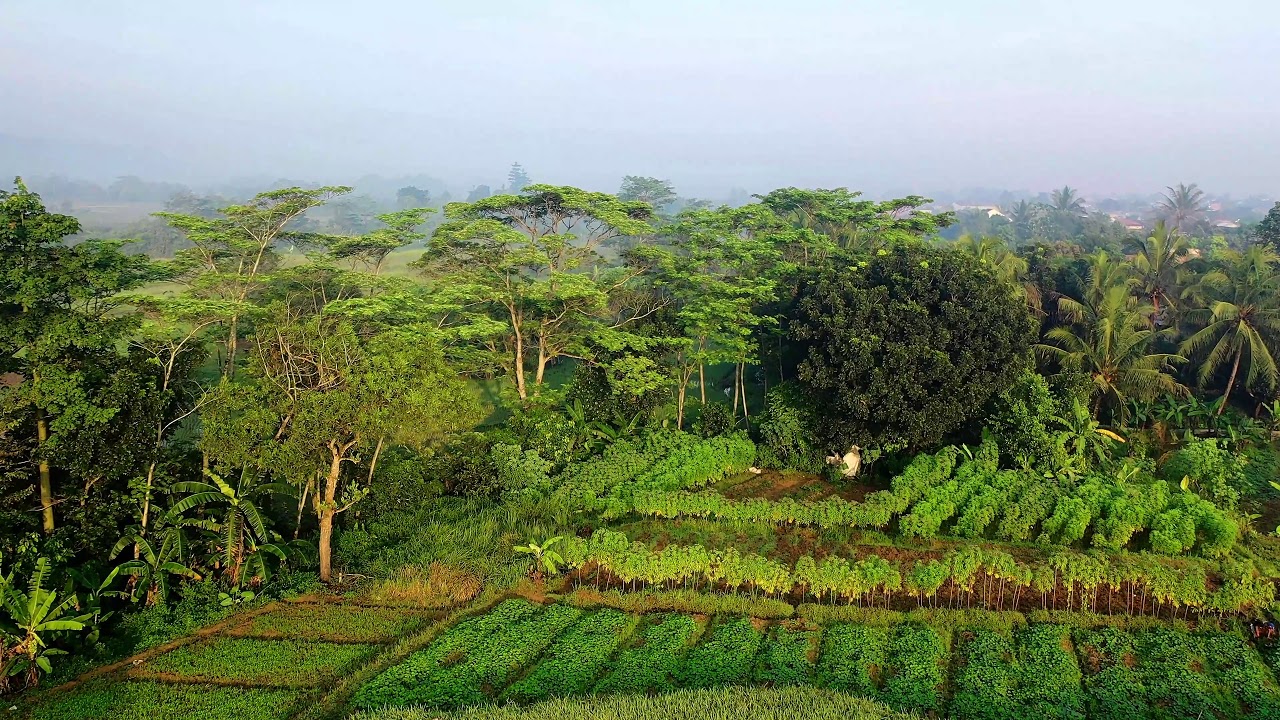 drone view of green fields-Beauty of nature