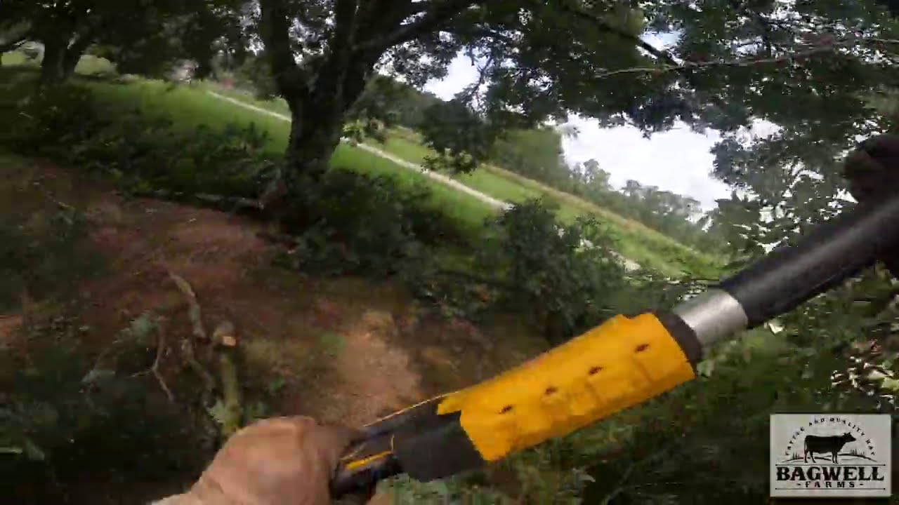 20V Dewalt Pole Saw How long will it GOOO!!