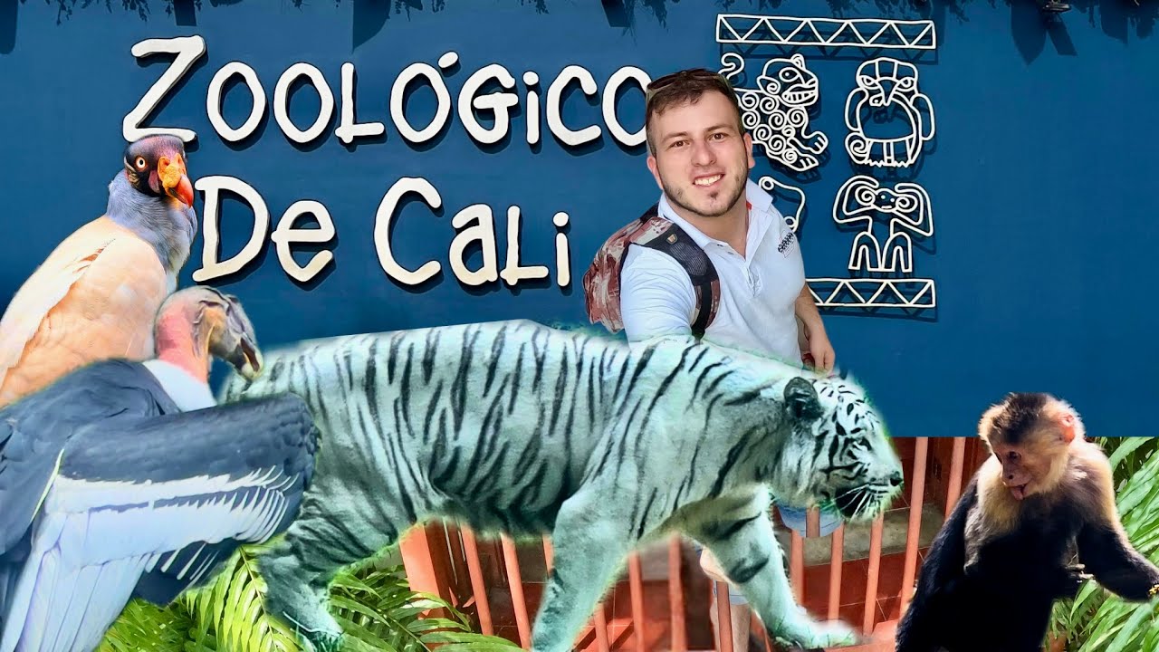 El mejor ZOO de Latinoamérica 🦁🐯