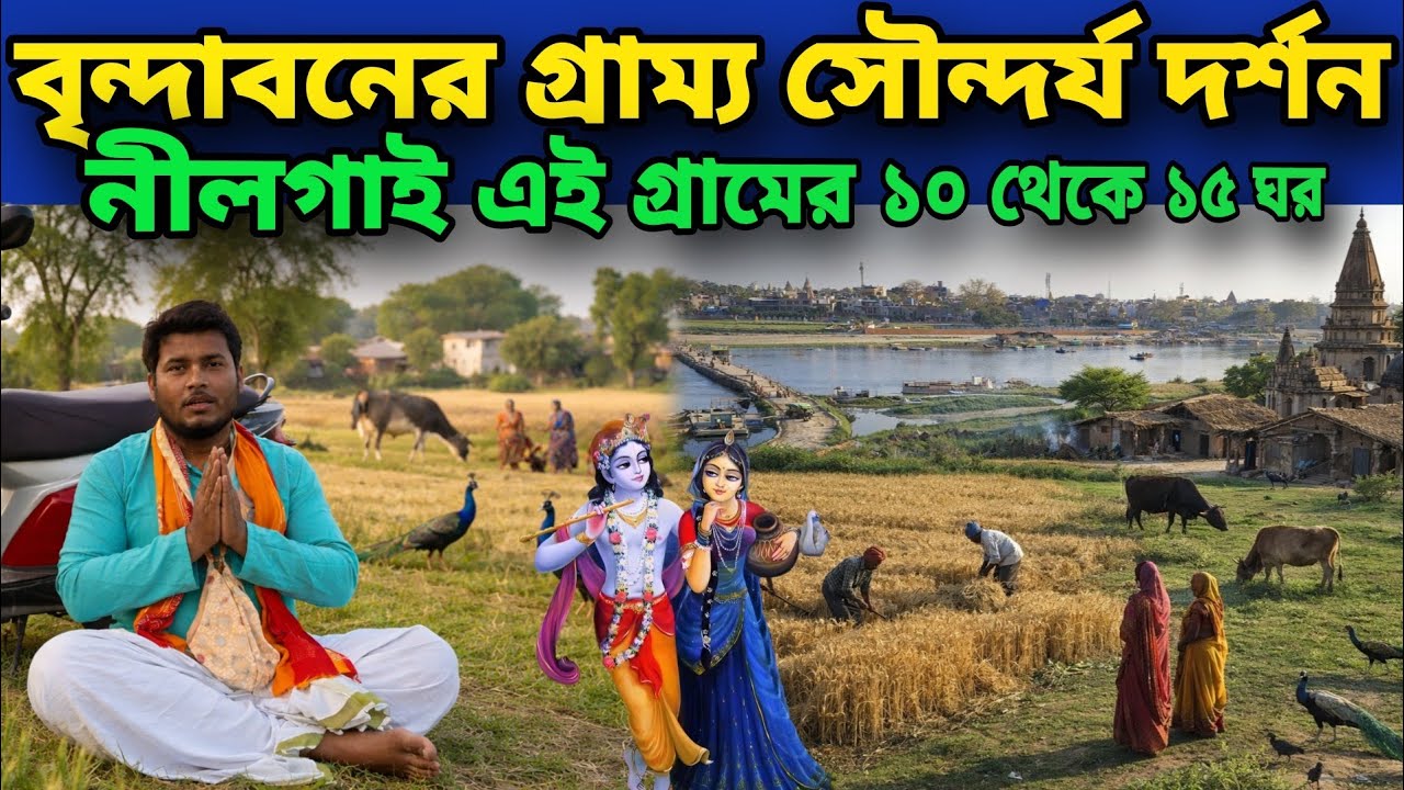 বৃন্দাবনের গ্রাম্য সৌন্দর্য গম চাষ নীলগাই দর্শন এই গ্রামে 10 থেকে 15 ঘর || The Villages of Vrindavan
