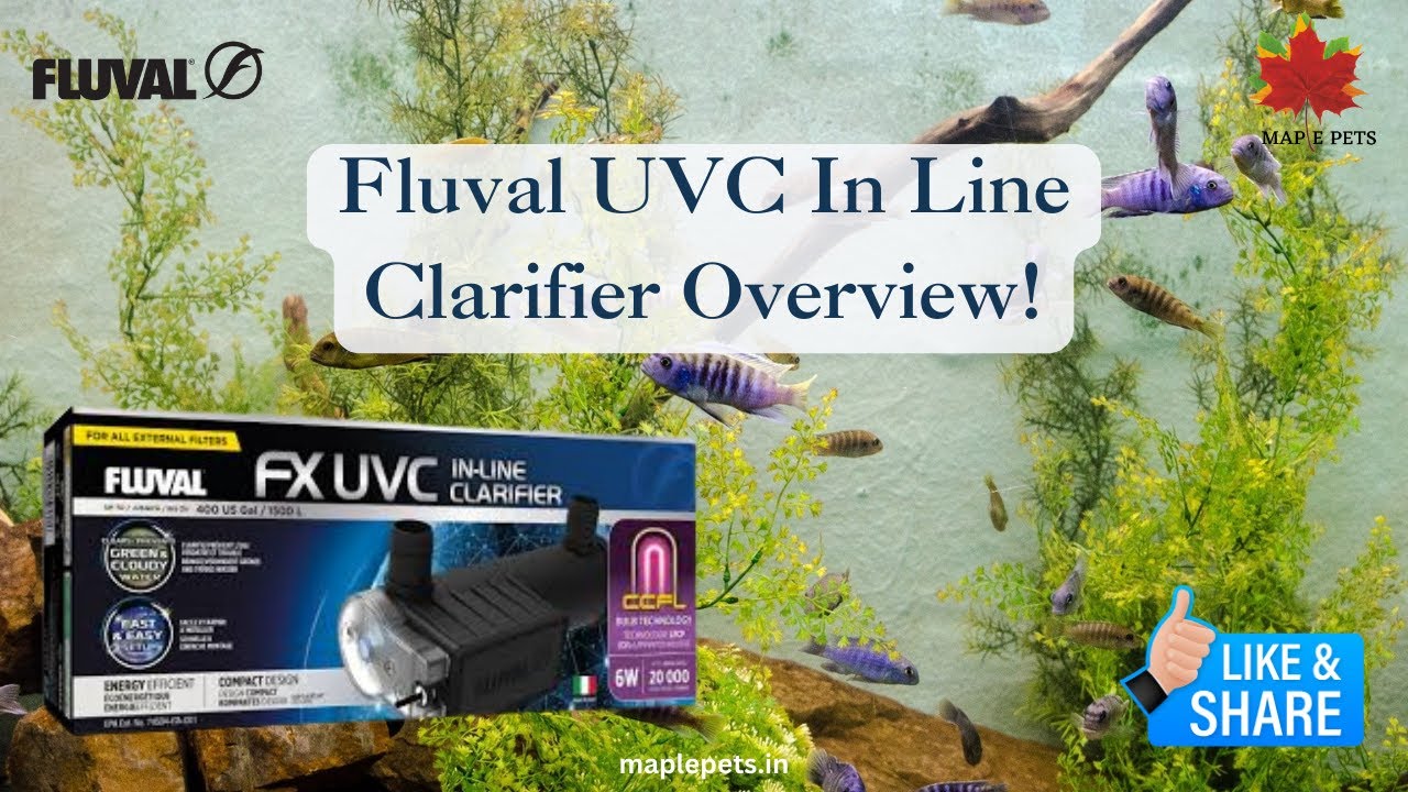 Fluval UVC In Line Clarifier Overview