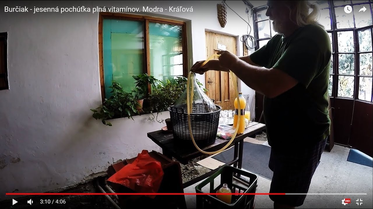 Burčiak - jesenná pochúťka plná vitamínov. Modra - Kráľová. Malokarpatská vínna cesta.