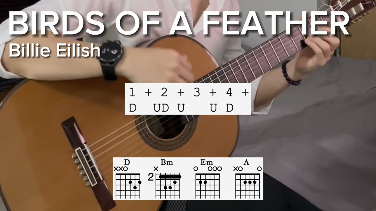 BIRDS OF A FEATHER by Billie Eilish (EASY strum)