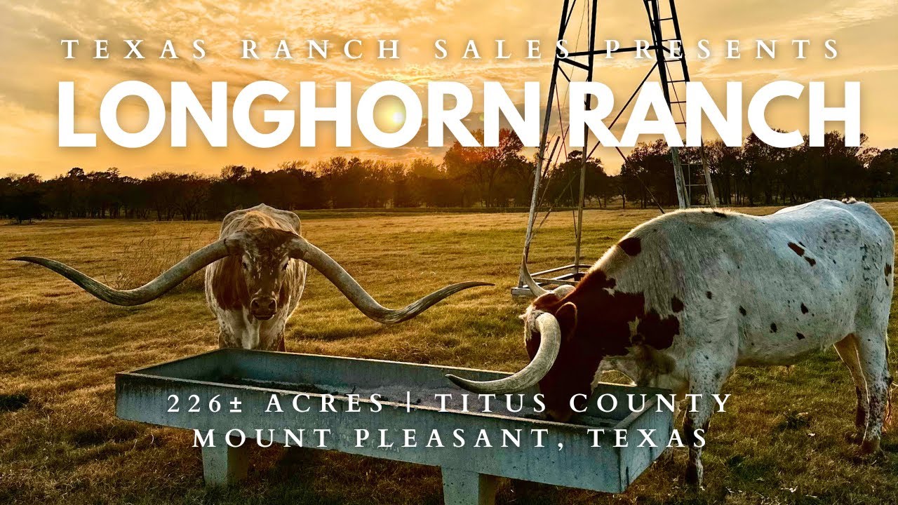 Longhorn Ranch | 226± Acres in Titus County Texas