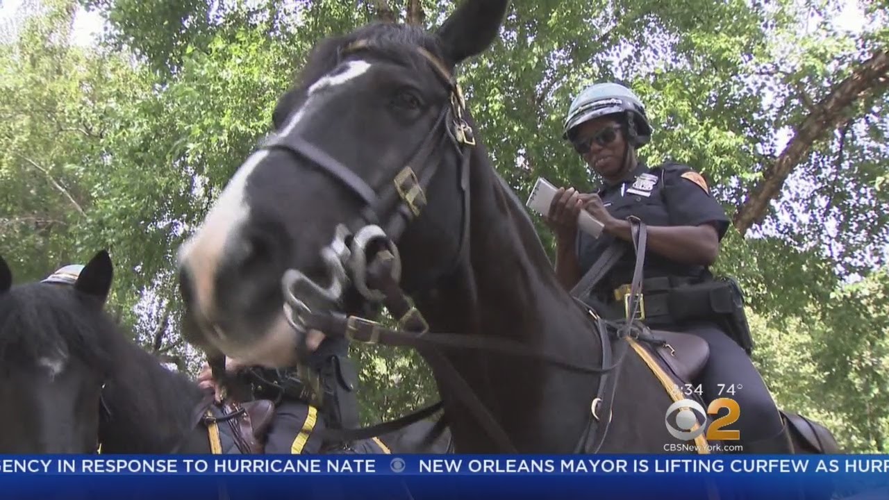Behind The Scenes With The NYPD's Elite Mounted Unit