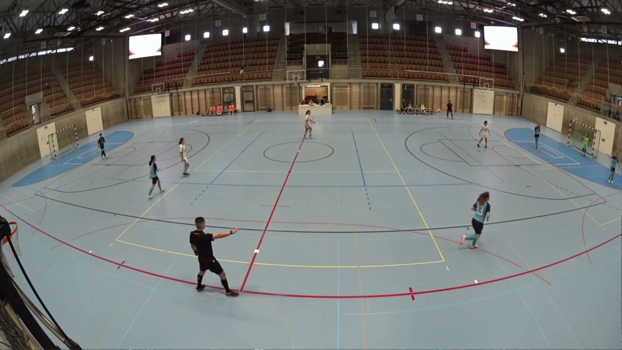 20260215 SFWPL: SC Rappiranhas - FC Blue Stars ZH Frauen 1968 6:6