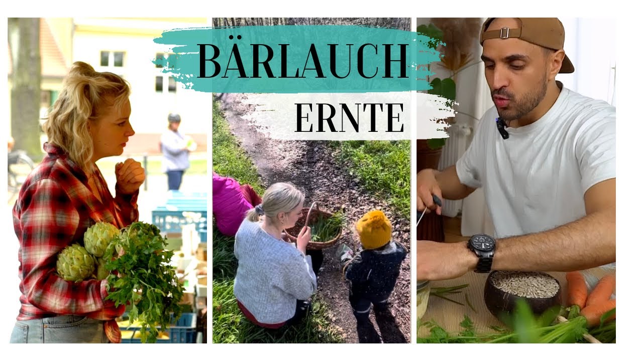 5 Bärlauch Rezepte 2023｜Kiloweise Essen aus dem Wald